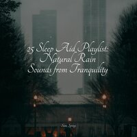 Birds in Twilight - Ambient Music Therpy & Rainfall For Sleep & Relaxation Sleep Meditation