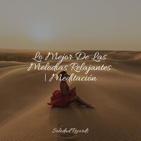 Sueño Que Llama - Dormir & Música De Relajación Para Dormir Profundamente & Academia de Relaxamento e Meditação