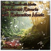 Natural Sounds with Music: Rainforest Reverie with Relaxation Music - Jamie Llewellyn