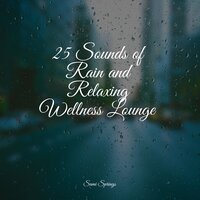 Quiet Bird Song - Fabricantes De Lluvia & Anxiety Relief & Massagem Guru