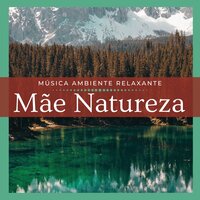 Canto dos Pássaros e da Floresta - Beatriz Natureza Flores