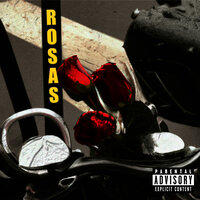 Rosas - Rubin