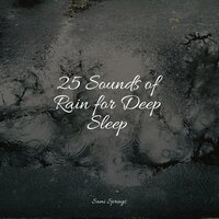 Rainforest Rains - The Rain Library & Yoga Soul & Baby Relax Music Collection