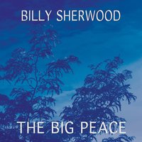 Clemency - Billy Sherwood