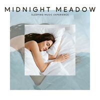 Serene Sleep - Sleeping Music Experience