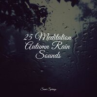 White Noise Waters - Kings of Nature & Tonal Meditation Collective & Deep Sleep Systems