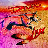 Nahkatakkinen Tyttö - Dingo