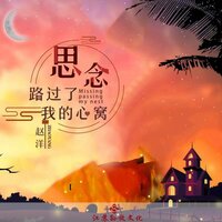 思念路过了我的心窝 - 赵洋