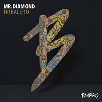 Tribalero - Mr.Diamond