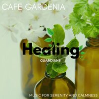 Zen Chill Out - Liquid Ambiance