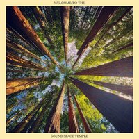 The Otherside - Sound Space Temple