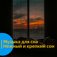 Музыка для сна. Нежный и крепкий сон. vol 16 - Vond Ace & Музыка для сна