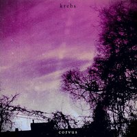 Corvus - Krebs