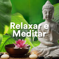 Meditação dos Sonhos - Notas de Relaxamento & Sons da Natureza