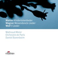 Wagner: Wesendonck Lieder: No. 2, Stehe still (Orch. Mottl) - Waltraud Meier & Daniel Barenboim & Orchestre De Paris
