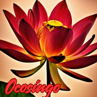 Ocosingo - Grupo Fantasía