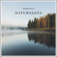 Sonidos de la Naturaleza, Pt. 22 - Sleepy Dogs & MusicoterapiaTeam & Dormir Profundamente