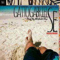 Se - Gatto Gabriel