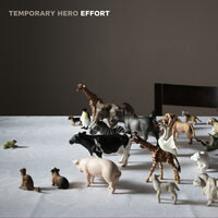 Before It All Went Wrong - Temporary Hero