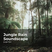 Woodland Rainstorm - Nature and Rain & Deep Rain Sampling & Jungle Rain