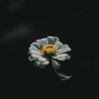 Waking Water - Ambient Forest & Ambient Nature White Noise & Natural Sounds