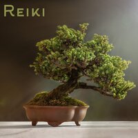 Night Time Noises - REIKI & Reiki Tribe & Reiki Healing Consort