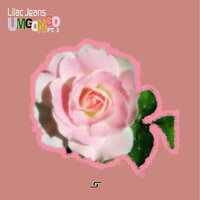 Niafunke - SculpturedMusic & Lilac Jeans & D - General
