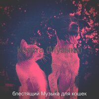 Настроения (Спящие кошки) - блестящий Музыка для кошек