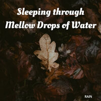 Watermarks - Massage Therapy Music & Alpha Brain Waves & Spa Music