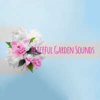 Harmony with Yourself - Zen Soothing Sounds of Nature