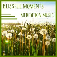 New Age Therapy - Zen Natural Sounds