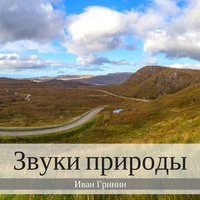 Звуки природы