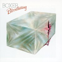 Love Has Got Me - Boxer
