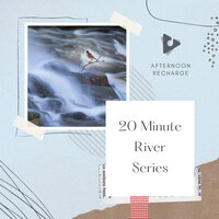 Songbirds and Water - Afternoon Recharge & Nature Sound Series & Relaxing Music Therapy