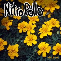 Pollo Song - NitroPollo