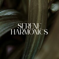 Gentle waves - Zen waves & Tranquil rhythms & Peaceful harmonies