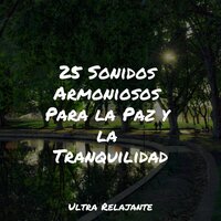 Quedarse Suavemente Dormido - Relajar & Meditacion Budista Maestros & Relaxamento Sons da Natureza Ruído Branco Musicas Clube