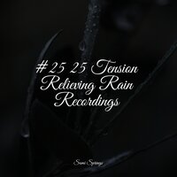 Splashing Drops - Amazing Spa Music & Chakra Meditation Universe & Rain Recorders