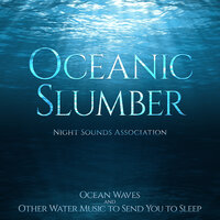 Coral Reef - Night Sounds Association