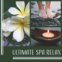 Indian Medicine - Spa Weekend Masters