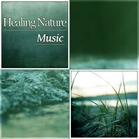 Good Night Rain - Nature Sounds Universe