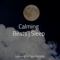Focused, Relaxed - Saludo al Sol Sonido Relajante & Massagem Coleção de Músicas & Relaxation Personal Guru