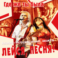 Рыжая метелица - ВИА «Лейся, песня!»