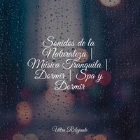 Éxtasis - Música Zen Relaxante & Musica Relajante Para Estudiar & Meditação Yoga Maestro