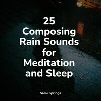Lake, Water Lapping, Light - Thunder Storm & Natural Sample Makers & White Noise Sound Garden