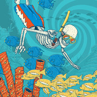 Dark Star - Dead & Company