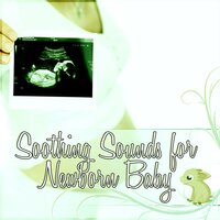 Expecting a Miracle - Calm Pregnancy Music Academy