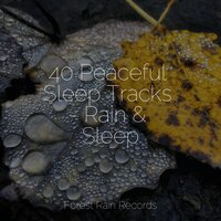 Wind and Storms - Kinderlieder Megastars & Mindfulness Mediation World & Rain Sounds Nature Collection