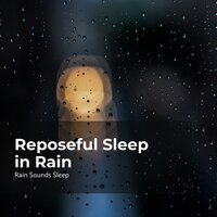 Rain Fall Sleepiness - Rain Sounds Sleep & Rain Spa & Rain Sounds for Relaxation