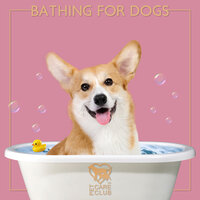 Relaxing Spring Time - Pet Care Club